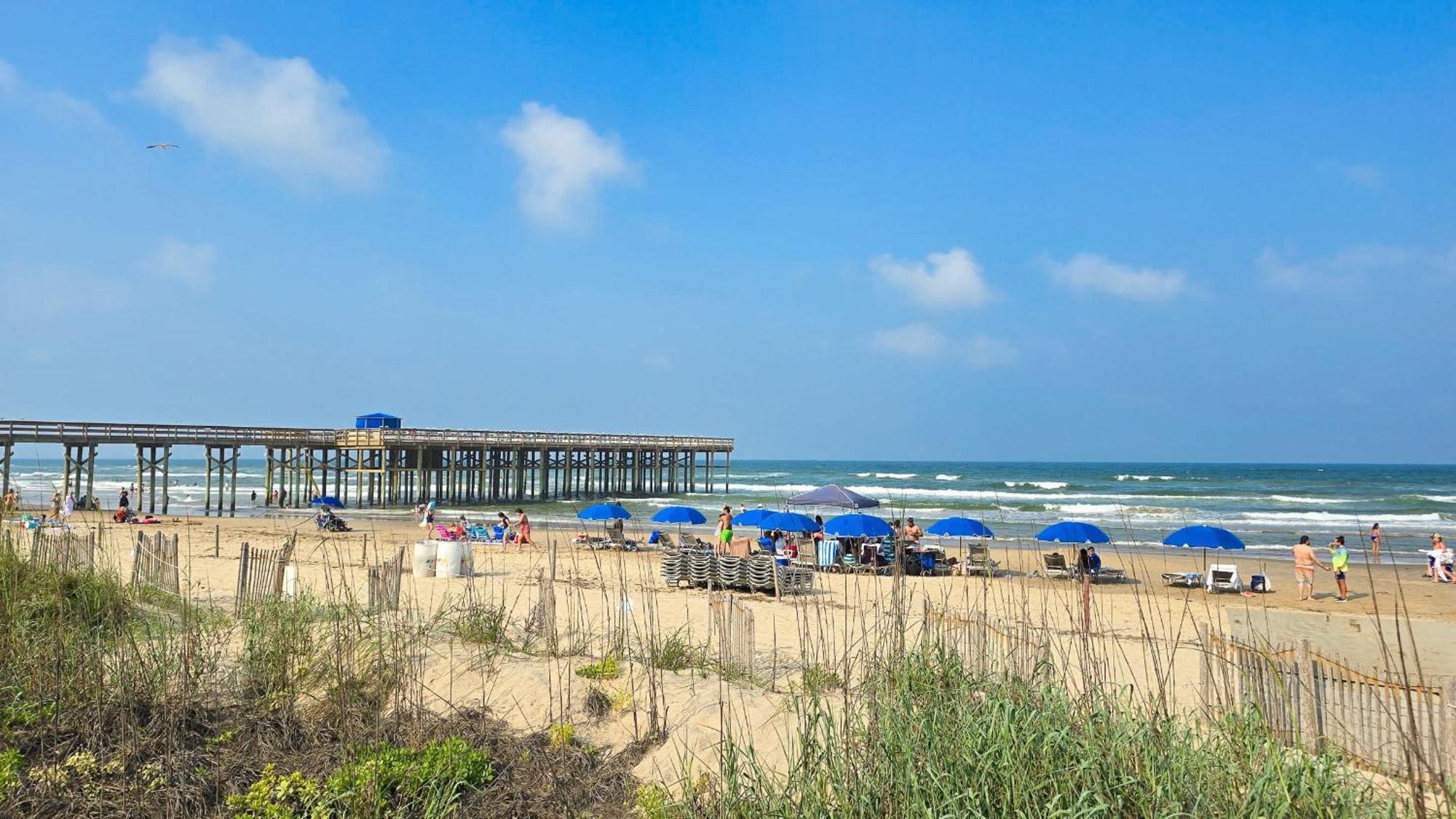 Herons Haven Coastal Elegance With Pool Access 223 South Padre Island Extérieur photo