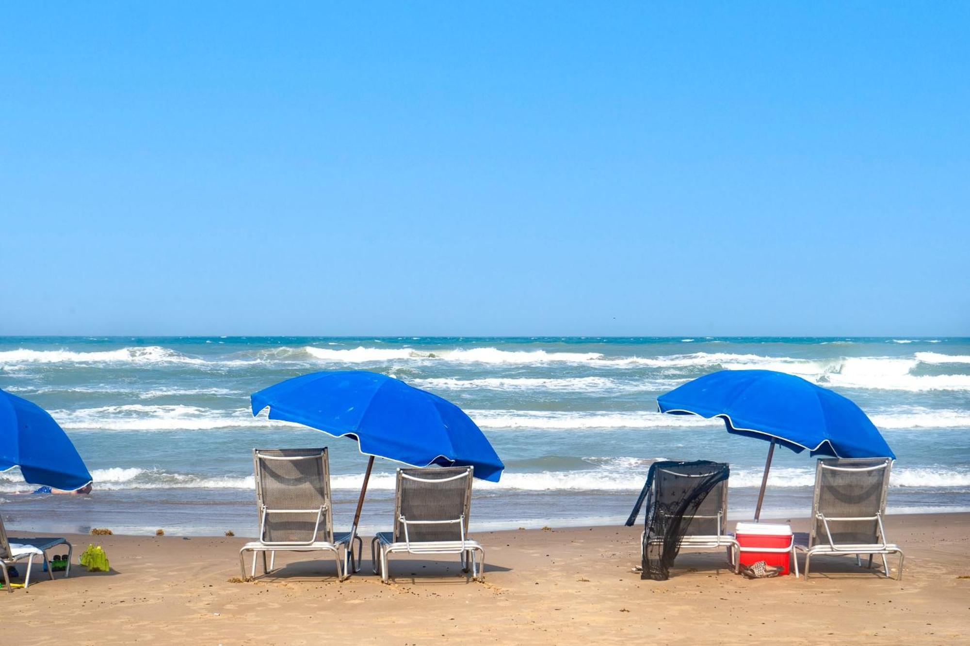Herons Haven Coastal Elegance With Pool Access 223 South Padre Island Extérieur photo